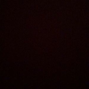 Meet your Posher, Priscilla